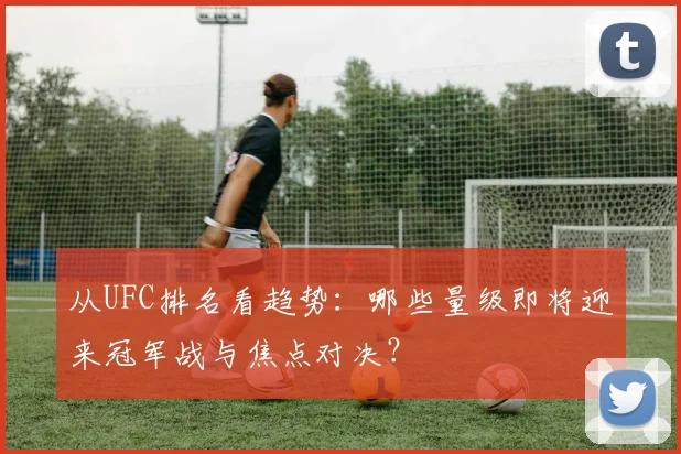 从UFC排名看趋势：哪些量级即将迎来冠军战与焦点对决？